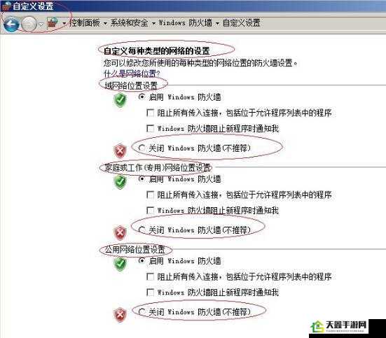 日本 windowsserver 片相关内容探讨