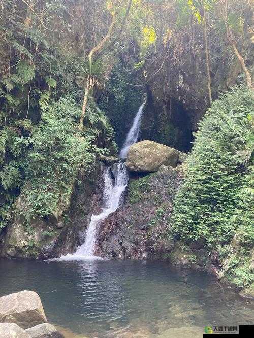 两峰夹小溪地湿又无泥：探寻其中的奥秘