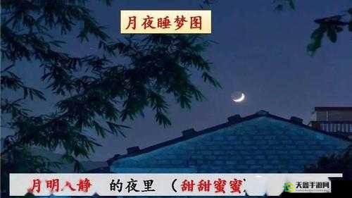 摇床声和喘息声交织的夜晚