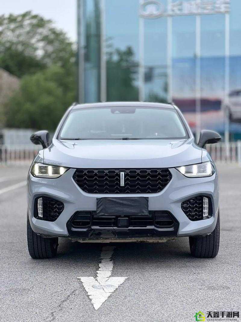 WEY VV5 国产的 SUV 视频：精彩呈现