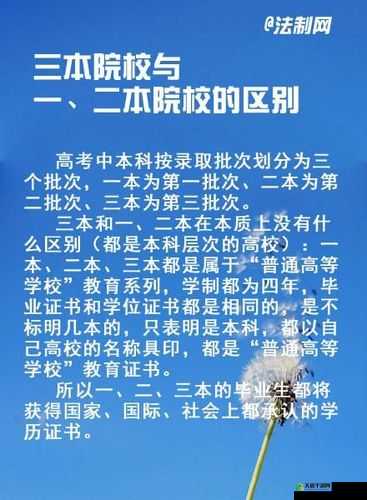 日韩一本二本三本的区别：教育体系差异探讨