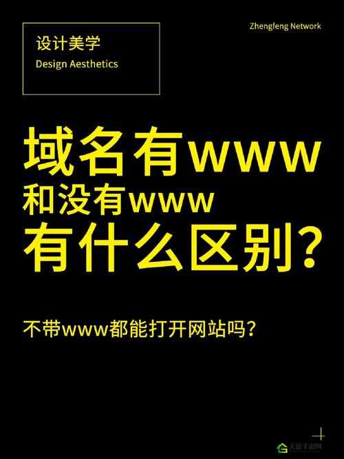 www 你会感谢我的域名：精彩等你探索