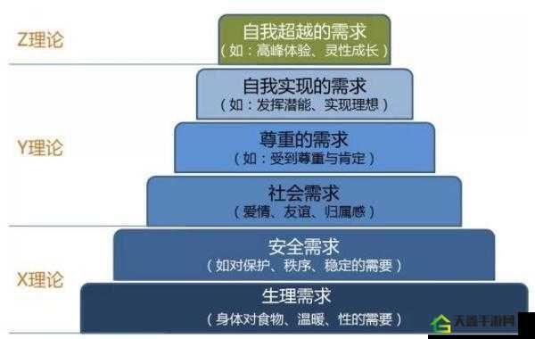 人性理论与 XY 理论的关系探讨