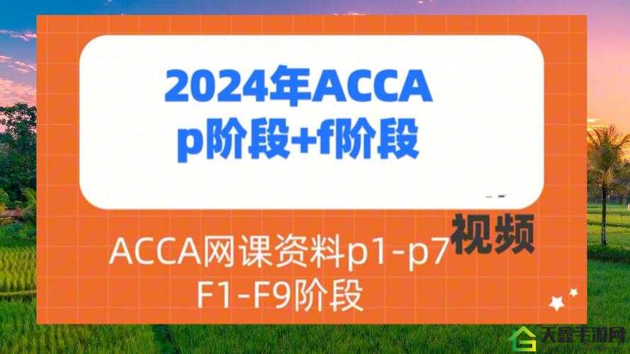 ACCA 少女网课视频：专业知识讲解与学习指南