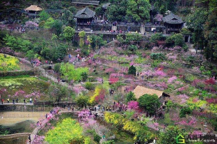 桃花源洞口：芳草萋萋，宛如仙境